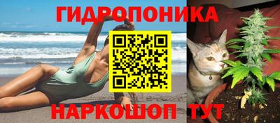 сатива Краснокаменск